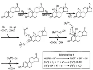 primobolan for sale